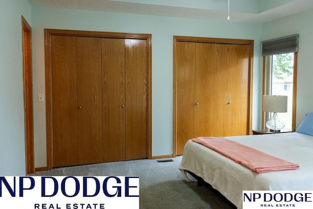 611 Diamond Ln, Papillion, NE 68133 - bedroom featuring carpet floors and multiple closets