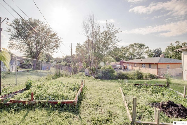 6205 Nebraska Ave, Omaha, NE 68104 - view of yard featuring a garden