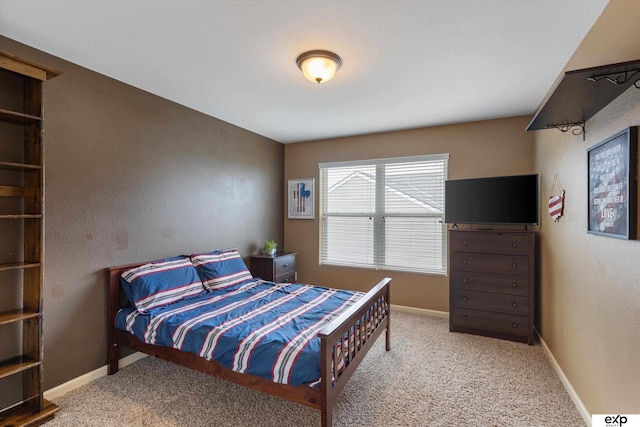 8815 N Hws Cleveland Blvd, Bennington, NE 68007 - bedroom featuring carpet and baseboards