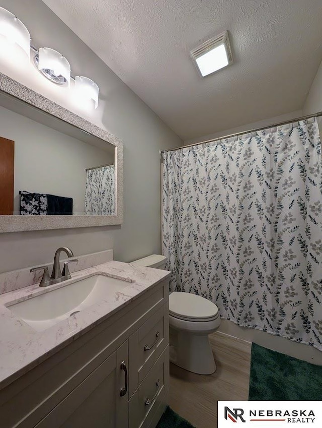 2496 Rock Creek Rd, Bee, NE 68314 - bathroom with wood finished floors, vanity, toilet, and a shower with shower curtain