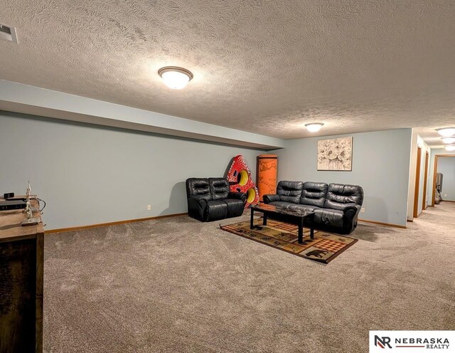 2496 Rock Creek Rd, Bee, NE 68314 - carpeted living area featuring baseboards and a textured ceiling