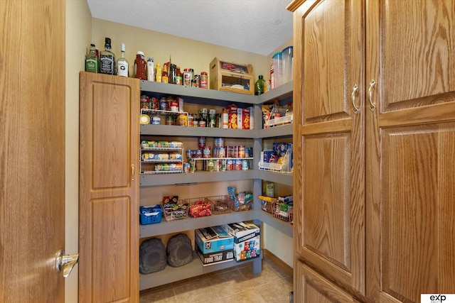 17205 Jessica Ln, Gretna, NE 68028 - view of storage area