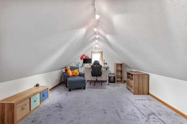 17205 Jessica Ln, Gretna, NE 68028 - office space featuring a textured ceiling, vaulted ceiling, carpet flooring, and track lighting
