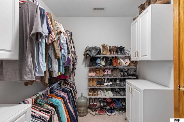 17205 Jessica Ln, Gretna, NE 68028 - walk in closet featuring carpet floors
