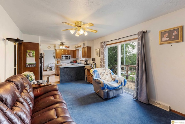 209 Carter St, Avoca, NE 68307 - living room with carpet flooring and ceiling fan