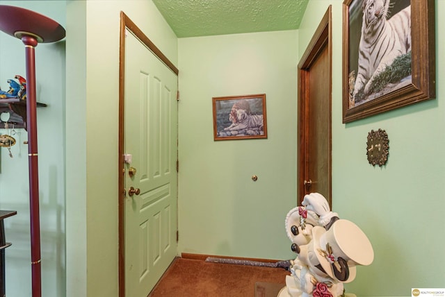209 Carter St, Avoca, NE 68307 - carpeted foyer entrance featuring a textured ceiling and baseboards