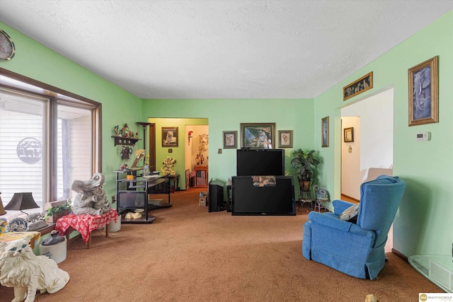 209 Carter St, Avoca, NE 68307 - living room with carpet flooring and a textured ceiling