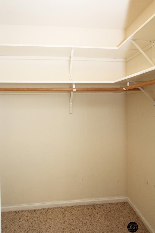 6028 Glenbrook Ln, Lincoln, NE 68512 - walk in closet with carpet floors