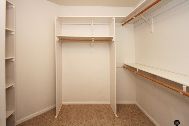 6028 Glenbrook Ln, Lincoln, NE 68512 - walk in closet featuring light carpet