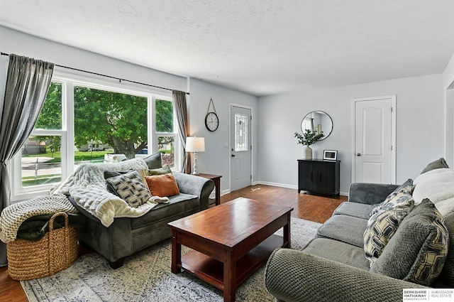 9704 Erskine St, Omaha, NE 68134 - living area with wood finished floors and a textured ceiling