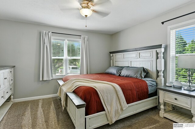 9704 Erskine St, Omaha, NE 68134 - carpeted bedroom featuring multiple windows and ceiling fan