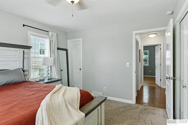 9704 Erskine St, Omaha, NE 68134 - bedroom with light carpet, a ceiling fan, and a closet