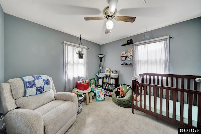 3317 N 9th St, Lincoln, NE 68521 - bedroom featuring carpet flooring and a ceiling fan