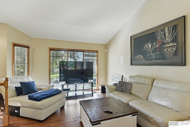 8853 N 82nd Ave, Omaha, NE 68122 - living area featuring dark wood-type flooring, a textured ceiling, and lofted ceiling