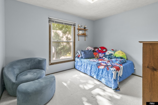 6104 S 93rd St, Omaha, NE 68127 - bedroom featuring carpet, a textured ceiling, and baseboards