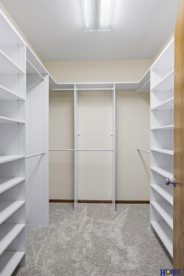 6920 NW 3rd St, Lincoln, NE 68521 - walk in closet featuring carpet