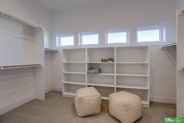 21056 Joseph St, Elkhorn, NE 68022 - spacious closet with carpet flooring