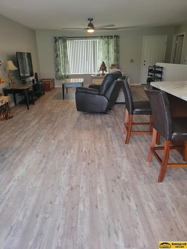843 N 26th St, Beatrice, NE 68310 - living area with light wood-type flooring and a ceiling fan