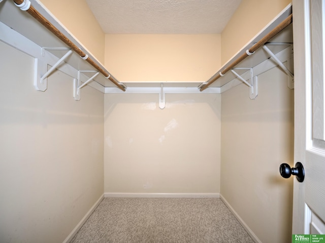 6212 Oak Hills Plz, Omaha, NE 68137 - spacious closet with carpet floors