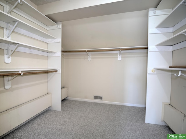 6212 Oak Hills Plz, Omaha, NE 68137 - spacious closet with carpet flooring