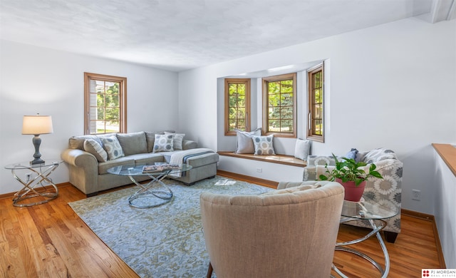 1439 S 123rd St, Omaha, NE 68144 - living room with wood finished floors and baseboards