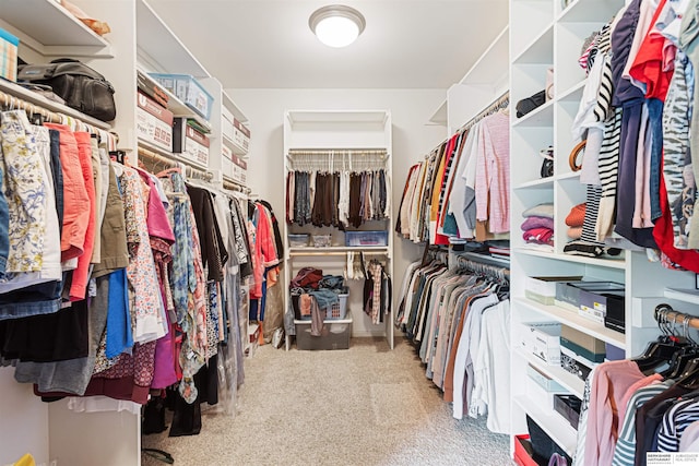 13303 Cuming St, Omaha, NE 68154 - spacious closet with carpet