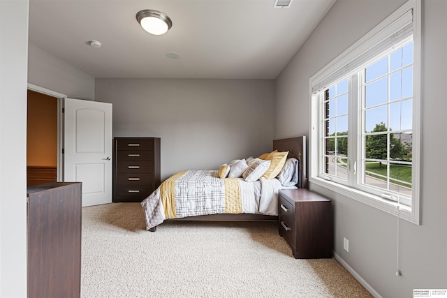 13303 Cuming St, Omaha, NE 68154 - bedroom with carpet flooring and baseboards