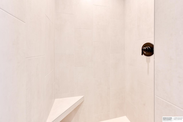 19920 Tyler St, Omaha, NE 68135 - bathroom with tiled shower