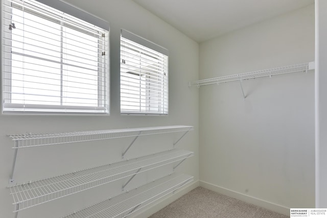 19920 Tyler St, Omaha, NE 68135 - walk in closet featuring carpet floors