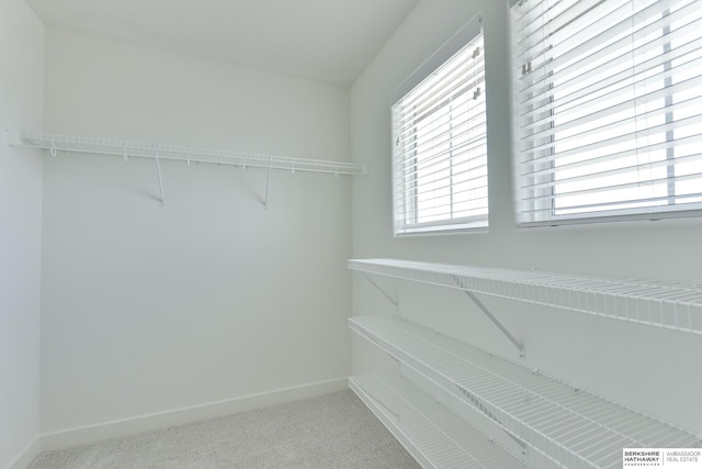 19920 Tyler St, Omaha, NE 68135 - spacious closet featuring carpet flooring