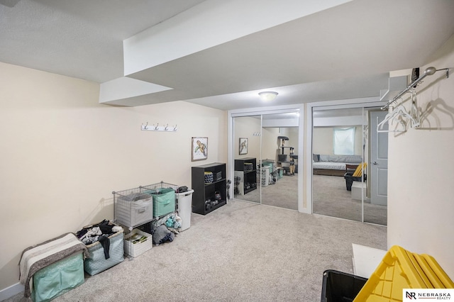 6021 Frederick St, Omaha, NE 68106 - finished below grade area with carpet floors