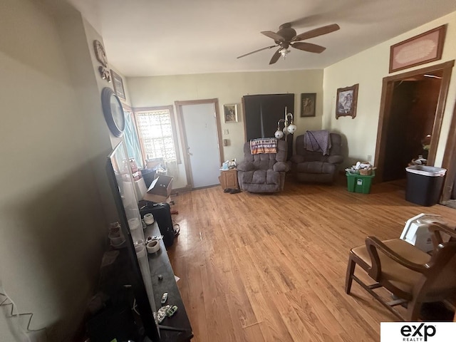 608 E Fillmore Ave, Dewitt, NE 68341 - living area with light wood-style floors and a ceiling fan