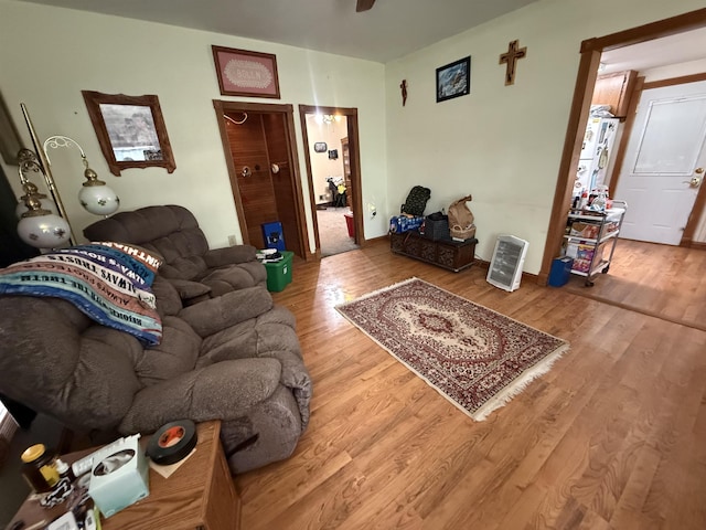 608 E Fillmore Ave, Dewitt, NE 68341 - living area with wood finished floors and ceiling fan