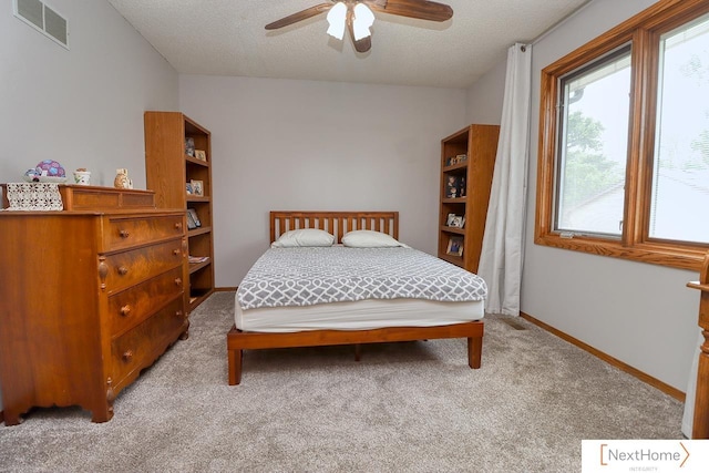 4115 N 45th Street Ct, Lincoln, NE 68504 - bedroom featuring carpet, a textured ceiling, ceiling fan, and baseboards