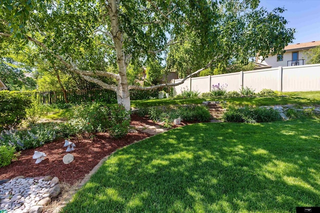 918 N 150th St, Omaha, NE 68154 - view of yard