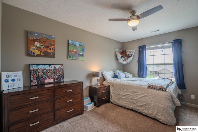 21313 Castlerock Ln, Gretna, NE 68028 - carpeted bedroom with a ceiling fan, baseboards, and a textured ceiling