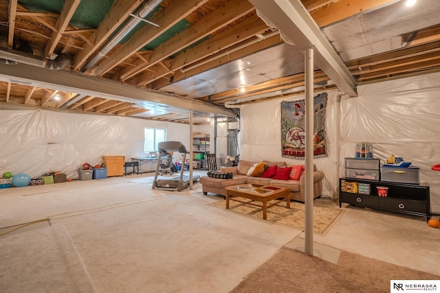 21313 Castlerock Ln, Gretna, NE 68028 - view of basement