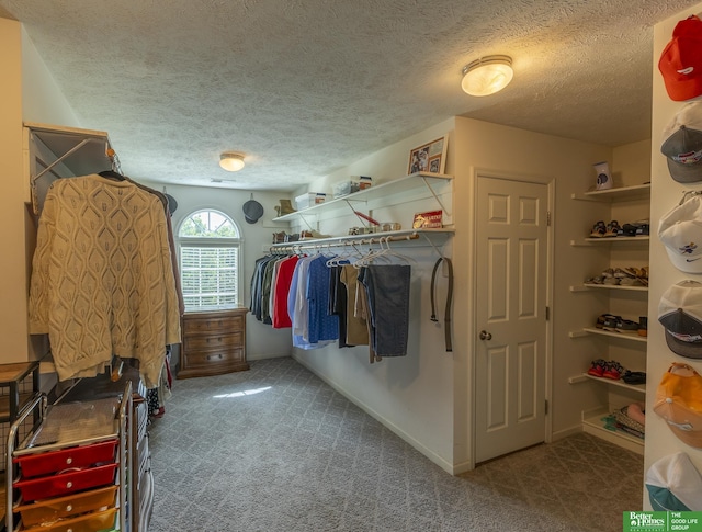 3902 Fox Ridge Dr, Bellevue, NE 68123 - spacious closet featuring carpet