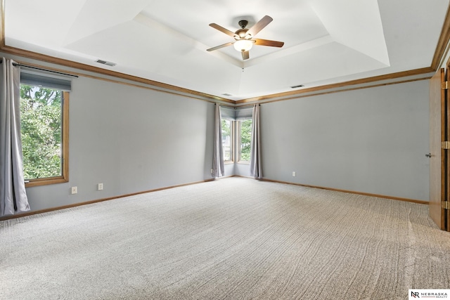 10428 Monroe St, Omaha, NE 68127 - carpeted spare room featuring a tray ceiling, a ceiling fan, plenty of natural light, and baseboards