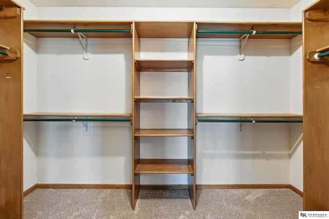 10428 Monroe St, Omaha, NE 68127 - walk in closet with carpet