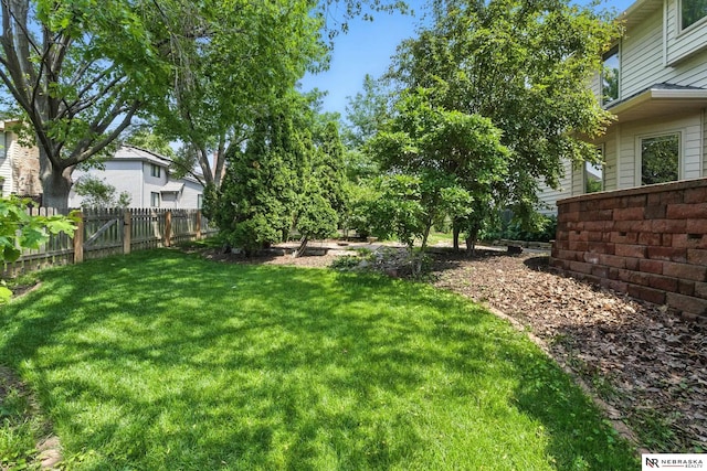 10428 Monroe St, Omaha, NE 68127 - view of yard