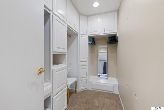 6772 Hamilton St, Omaha, NE 68132 - walk in closet featuring carpet flooring