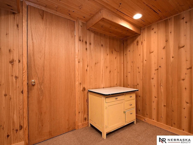 4540 S 41st St, Omaha, NE 68107 - miscellaneous room with wooden ceiling, light carpet, and wood walls