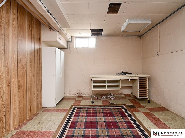 4540 S 41st St, Omaha, NE 68107 - below grade area featuring light floors, wood walls, and concrete block wall