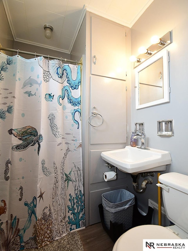 4540 S 41st St, Omaha, NE 68107 - bathroom featuring crown molding, toilet, a shower with curtain, and a sink