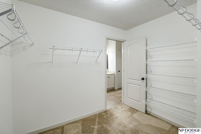 15930 Grebe St, Bennington, NE 68007 - walk in closet with light carpet