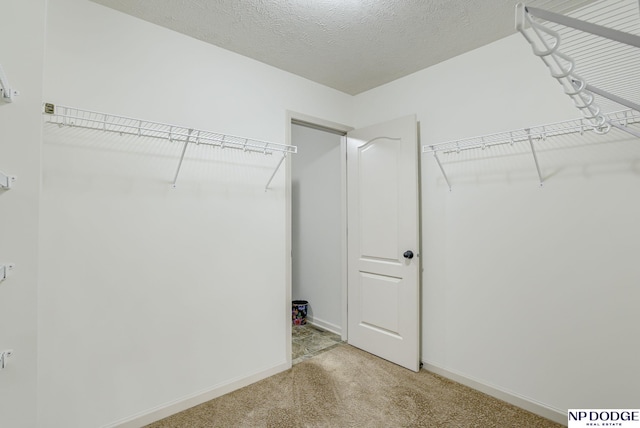 15930 Grebe St, Bennington, NE 68007 - walk in closet with carpet flooring