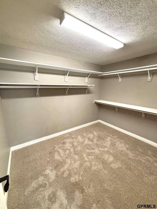 221 Briarwood Ln, Seward, NE 68434 - walk in closet featuring carpet