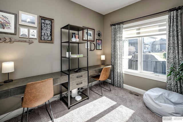 1809 S 220th Ave, Omaha, NE 68022 - office featuring carpet and baseboards