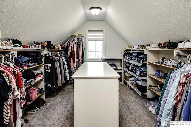 1809 S 220th Ave, Omaha, NE 68022 - spacious closet featuring dark colored carpet and vaulted ceiling